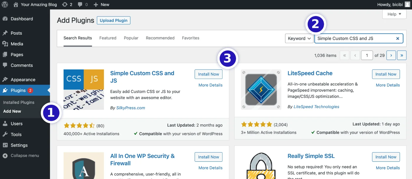 Installing a Plugin in WordPress
